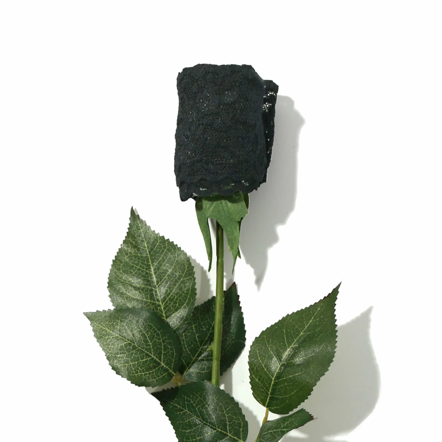 HANKY PANKY Signature Lace Low Rise Thong Rose Black 5 HANKY PANKY Signature Lace Low Rise Thong Rose Black - Image 3