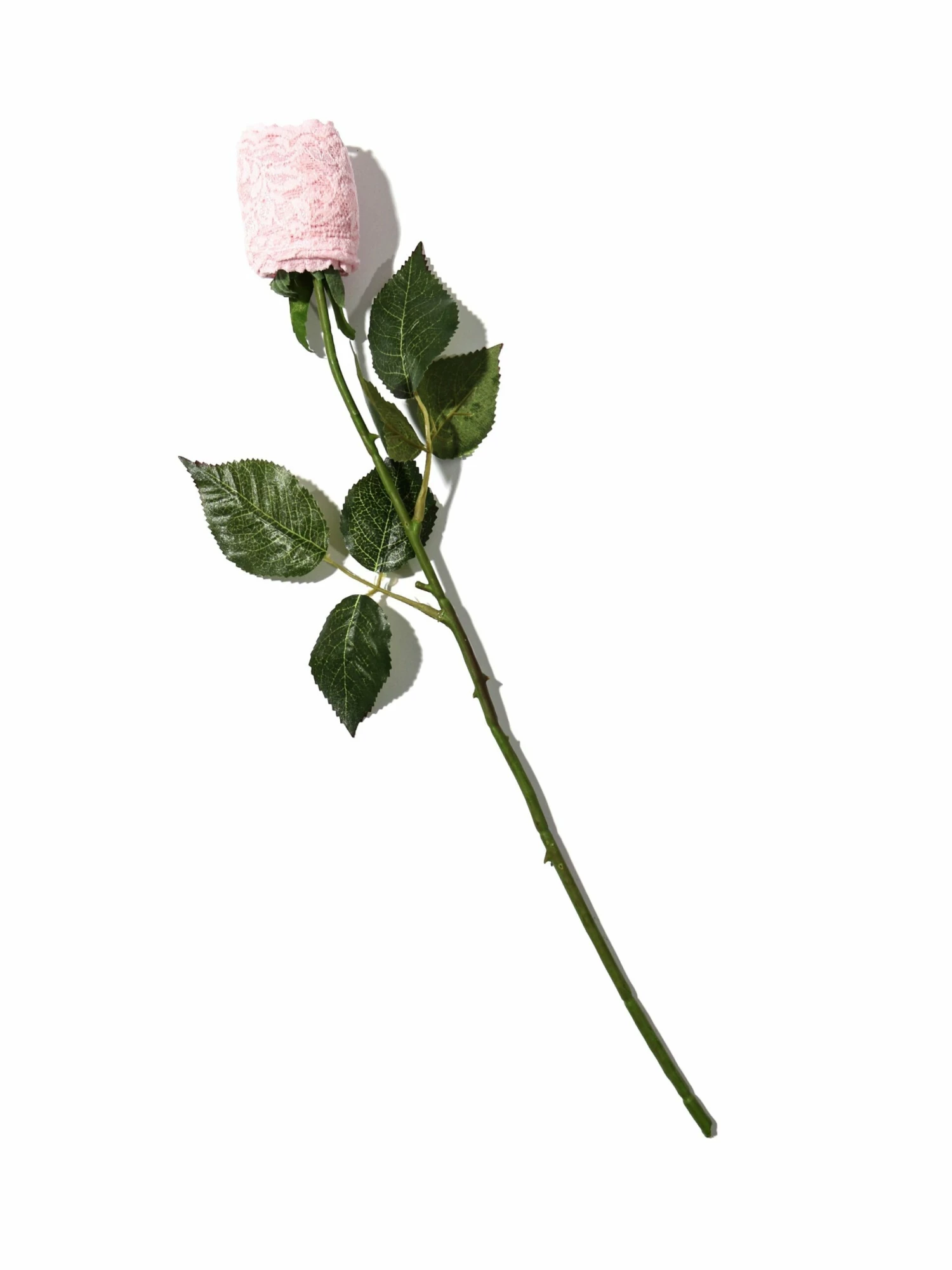 HANKY PANKY Signature Lace Low Rise Thong Rose Bliss Pink 2 HANKY PANKY Signature Lace Low Rise Thong Rose Bliss Pink