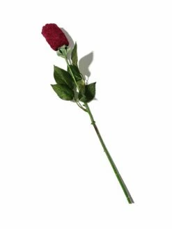 HANKY PANKY Signature Lace Low Rise Thong Rose Dark Pomegranate Red