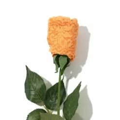 HANKY PANKY Signature Lace Low Rise Thong Rose Ginger Shot Orange 7 HANKY PANKY Signature Lace Low Rise Thong Rose Ginger Shot Orange -HANKY PANKY Shop Hanky Panky Signature Lace Low Rise Thong Rose Ginger Shot Orange GINGER SHOT ORANGE View 3