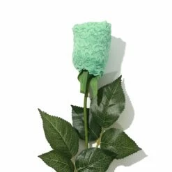 HANKY PANKY Signature Lace Low Rise Thong Rose Mint Sprig Green -HANKY PANKY Shop Hanky Panky Signature Lace Low Rise Thong Rose Mint Sprig Green MINT SPRIG GREEN View 3