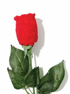 HANKY PANKY Signature Lace Low Rise Thong Rose Red -HANKY PANKY Shop Hanky Panky Signature Lace Low Rise Thong Rose Red RED View 3 9ecd3fbf 60f9 4456 aaad 81504286c7bf