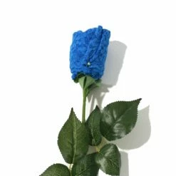 HANKY PANKY Signature Lace Low Rise Thong Rose Sea Blue -HANKY PANKY Shop Hanky Panky Signature Lace Low Rise Thong Rose Sea Blue SEA BLUE View 3