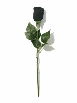 HANKY PANKY Signature Lace Original Rise Thong Rose Black