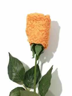 HANKY PANKY Signature Lace Original Rise Thong Rose Ginger Shot Orange -HANKY PANKY Shop Hanky Panky Signature Lace Original Rise Thong Rose Ginger Shot Orange GINGER SHOT ORANGE View 3 1bdd4400 ffce 444b 98c2 6cab26db01da