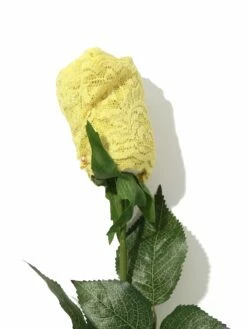 HANKY PANKY Signature Lace Original Rise Thong Rose Smile More Yellow -HANKY PANKY Shop Hanky Panky Signature Lace Original Rise Thong Rose Smile More Yellow SMILE MORE YELLOW View 3 4dfaf09b 9575 4154 be63 5c1ccd8890b0